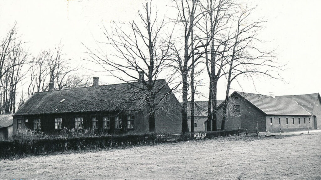 Sdr. Lundgaard i Tjørring