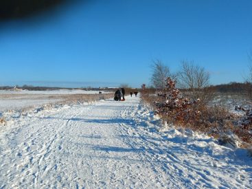 20210131_Fuglsang Sø